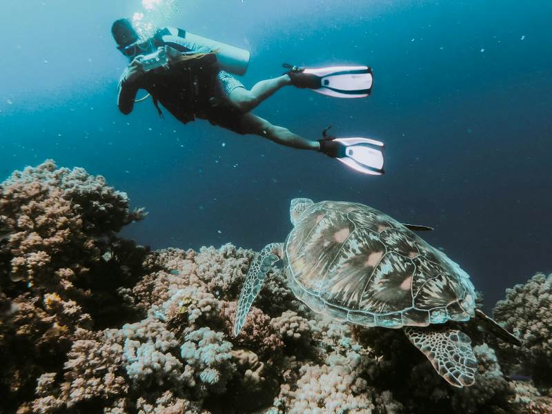 Scuba Diving in Koh Tao-adventure sports in thailand -trekhops