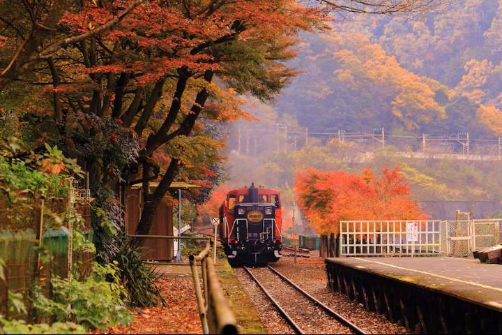 Sagano Scenic Railway, also known as the Sagano Romantic Train, is a charming sightseeing train that runs along the Hozugawa River between Arashiyama and Kameoka in Kyoto