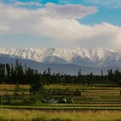12 Best Places to Visit in India During Summer in 2025