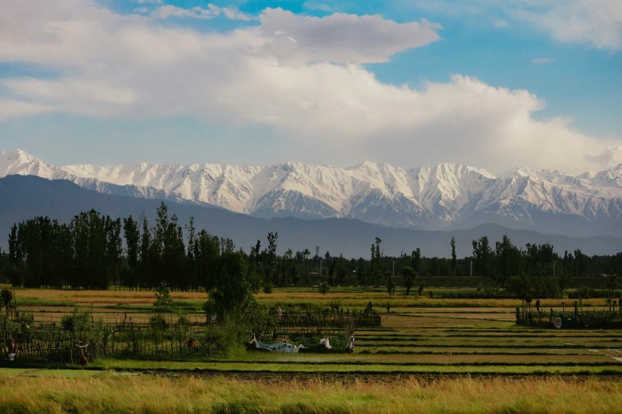 Places to Visit in India During Summer