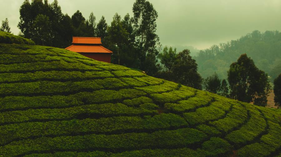Ooty, Tamil Nadu, India & an ideal summer getaway in South India